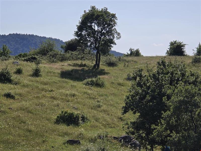 16.381,11 SQUARE METERS OF LAND CLOSE TO THE VILLAGE WITH FULL BOSPHORUS AND BRIDGE VIEW IN LAPSEKİ TAŞTEPE