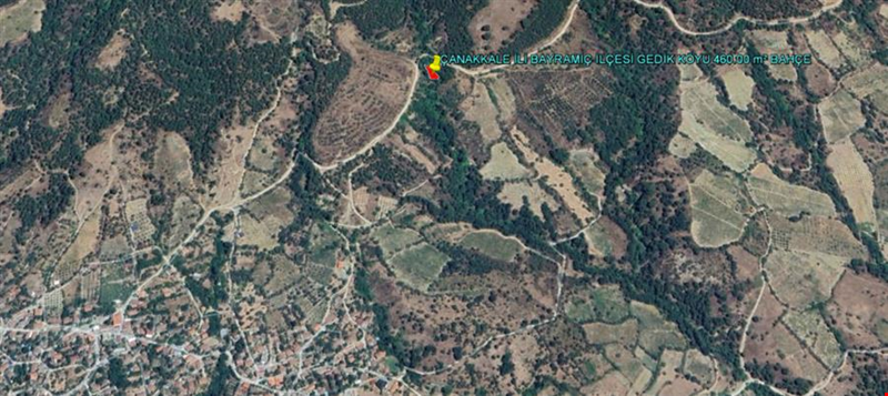 ÇANAkKALE İLİ BAYRAMİÇ İLÇESİ GEDİK KÖYÜ 460,00 m² BAHÇE