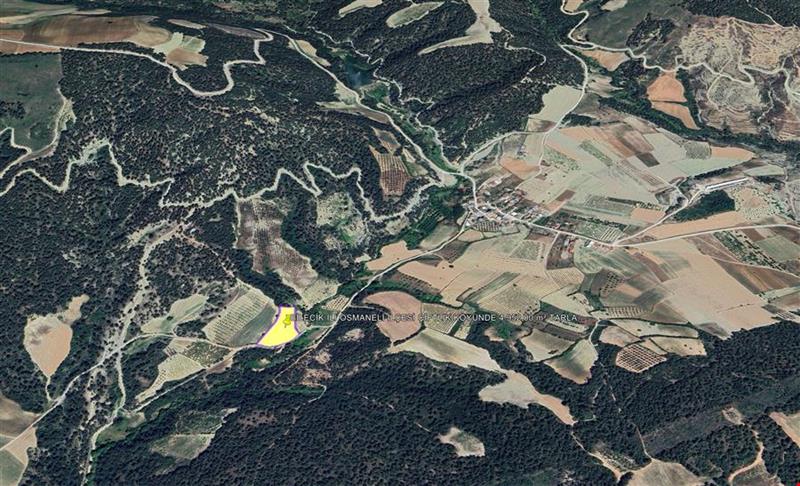 BİLECİK İLİ OSMANELİ İLÇESİ ÇİFTLİK KÖYÜNDE 4.952,00 m² TARLA