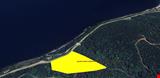 YALOVA İLİ ARMUTLU İLÇESİ 50.YIL MAHALLESİNDE 16.550 M .KARE TARLA