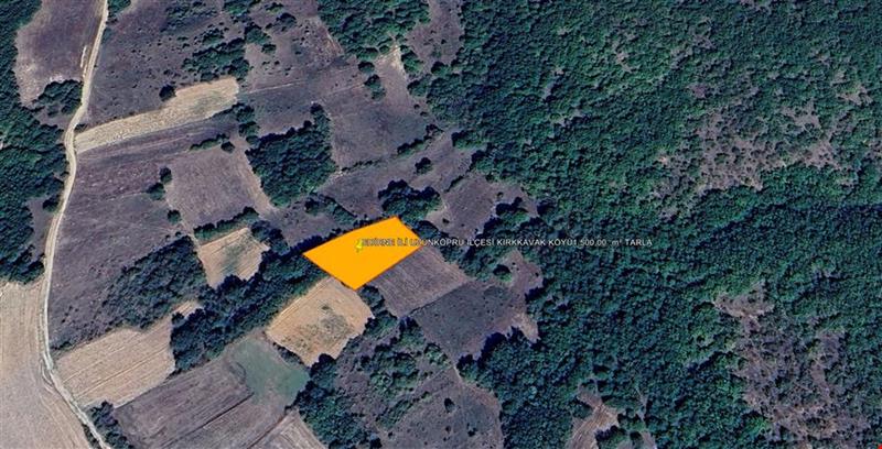 EDİRNE İLİ UZUNKÖPRÜ İLÇESİ KIRKKAVAK KÖYÜ1.500,00  m² TARLA