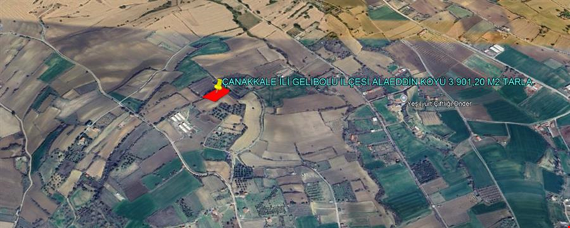 ÇANAKKALE İLİ GELİBOLU İLÇESİ ALAEDDİN KÖYÜ 3.901,20 M2 TARLA