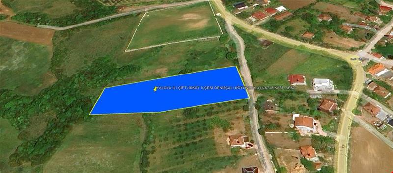 YALOVA İLİ ÇİFTLİKKÖY İLÇESİ DENİZÇALI KÖYÜNDE 6.446,67 M KARE ARSA