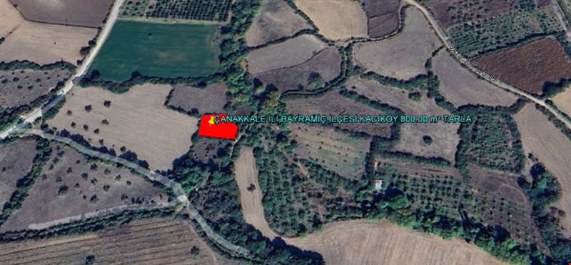 ÇANAKKALE İLİ BAYRAMİÇ İLÇESİ HACIKÖY KÖYÜ 800,00 m² TARLA