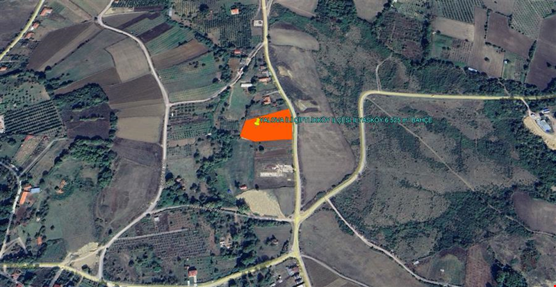YALOVA İLİ ÇİFTLİKKÖY İLÇESİ İLYASKÖY 6.525,06  m² BAHÇE