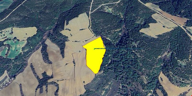 GELİBOLU BAYIRKÖY DE FULL BOĞAZ MANZARALI 21.740,63 M KARE TARLA