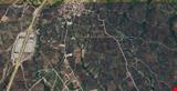 1.126,93 SQUARE METER OLIVE FIELD IN YENIKÖY VILLAGE OF ORHANGAZİ DISTRICT OF BURSA PROVINCE