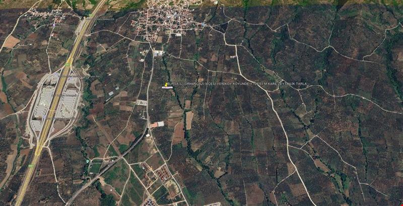 1.126,93 SQUARE METER OLIVE FIELD IN YENIKÖY VILLAGE OF ORHANGAZİ DISTRICT OF BURSA PROVINCE