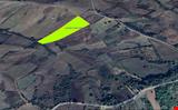 YALOVA İLİ ÇİFTLİKKÖY İLÇESİ ÇUKURKÖY KÖYÜNDE 22.760 M KARE TARLA