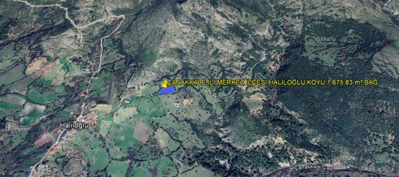 ÇANAKKALE İLİ MERKEZ İLÇESİ HALİLOĞLU KÖYÜ 1.675,83 m² BAĞ