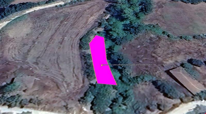 ÇANAKKALE İLİ ÇAN İLÇESİ BİLALLER KÖYÜNDE  247,57  m² KAVAKLIK