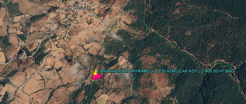 ÇANAKKALE İLİ BAYRAMİÇ İLÇESİ KORUCAK KÖYÜ 3.600,00 m² BAĞ