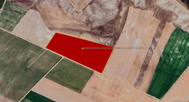 ESKİŞEHİR İLİ SİVRİHİSAR İLÇESİ AKTAŞ KÖYÜNDE 62.262,24 m² TARLA KADASTROL YOLU MEVCUT