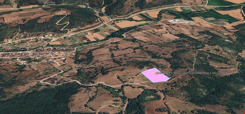 ÇANAKKALE İLİ BİGA İLÇESİ GÜRÇEŞME KÖYÜ 8.300 m² TARLA