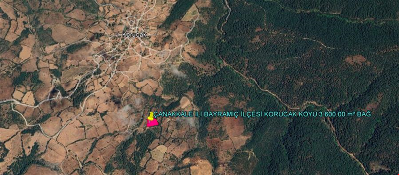 ÇANAKKALE İLİ BAYRAMİÇ İLÇESİ KORUCAK KÖYÜ 3.600,00 m² BAĞ