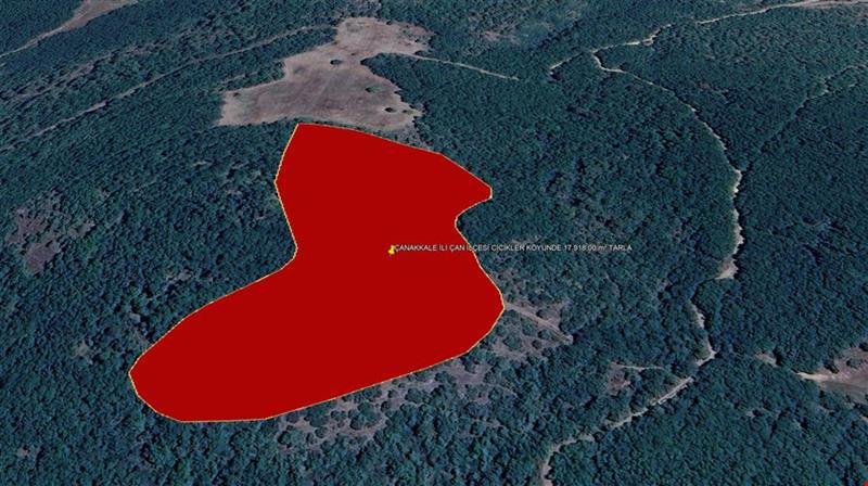 ÇANAKKALE İLİ ÇAN İLÇESİ CİCİKLER KÖYÜNDE 17.918,00 m² TARLA