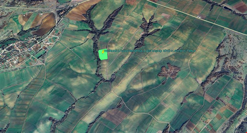 TEKIRDA PROVINCE SÜLEYMANPAŞA COUNTY KAŞIKÇI VILLAGE 11.675,90 m² LAND