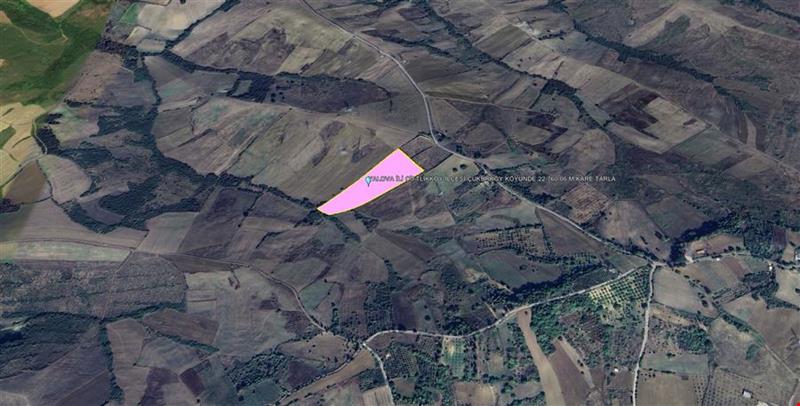 YALOVA İÇİ ÇİFTLİKKÖY İLÇESİ ÇUKURKÖY KÖYÜNDE 22.760,06 M KARE TARLA