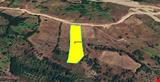 ÇANAKKALE İLİ BİGA İLÇESİ KAZMALI KÖYÜ 6.209,03 TARLA KADASTROL YOLU MEVCUT