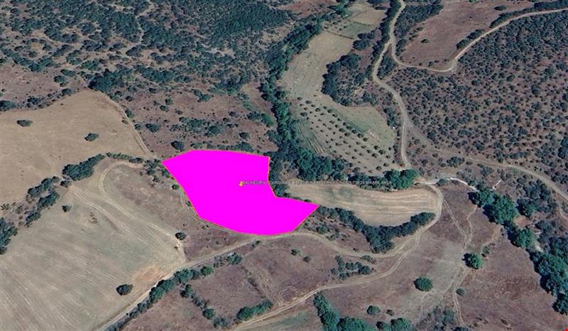 BALIKESİR İLİ  DURSUNBEY İLÇESİ SİNDERLER KÖYÜNDE 5.738,29 M KARE ARSA KADASTROL YOLU MEVCUTTUR