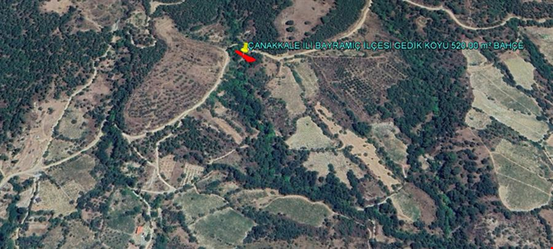 ÇANAkKALE İLİ BAYRAMİÇ İLÇESİ GEDİK KÖYÜ 520,00 m² BAHÇE