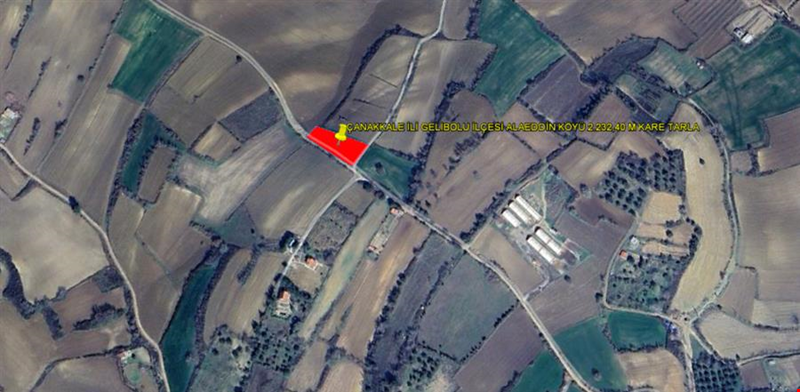 ÇANAKKALE İLİ GELİBOLU İLÇESİ ALAEDDİN KÖYÜ 2.232,40 M KARE TARLA
