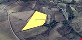 YALOVA İLİ ÇİFTLİKKÖY İLÇESİ ÇUKURKÖY KÖYÜNDE 23.900 M KARE TARLA