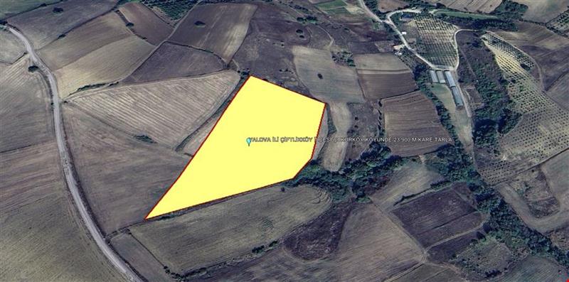 YALOVA İLİ ÇİFTLİKKÖY İLÇESİ ÇUKURKÖY KÖYÜNDE 23.900 M KARE TARLA