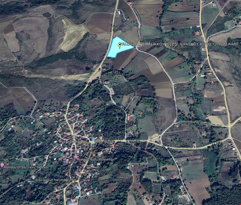 YALOVA İLİ ÇİFTLİKKÖY İLÇESİ İLYASKÖY KÖYÜ 12.012 M KARE TARLA KADASTROL YOLA CEPHE