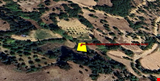 BALIKESİR İLİ SINDIRGI İLÇESİ KINIK KÖYÜNDE 253,98  m² BAHÇE