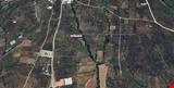 1.126,93 SQUARE METER OLIVE FIELD IN YENIKÖY VILLAGE OF ORHANGAZİ DISTRICT OF BURSA PROVINCE