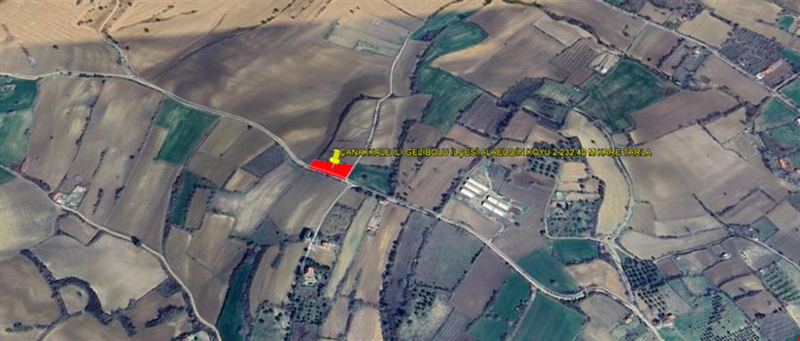 ÇANAKKALE İLİ GELİBOLU İLÇESİ ALAEDDİN KÖYÜ 2.232,40 M KARE TARLA