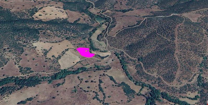 BALIKESİR İLİ  DURSUNBEY İLÇESİ SİNDERLER KÖYÜNDE 5.738,29 M KARE ARSA KADASTROL YOLU MEVCUTTUR