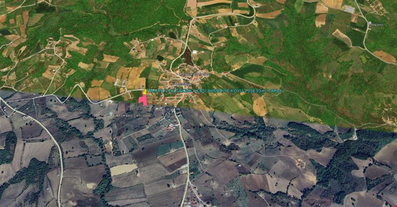 YALOVA İLİ ALTINOVA İLÇESİ AHMEDİYE KÖYÜ 3.958,93 m² TARLA