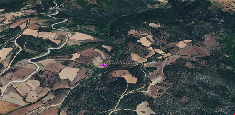 ÇANAKKALE İLİ BİGA İLÇESİ ELMALI KÖYÜNDE 1.444,00 m² BAHÇE KADASTROL YOLA CEPHE