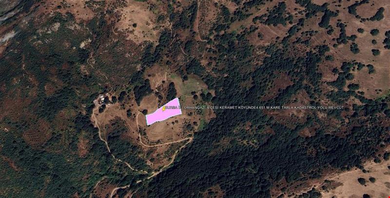 BURSA İLİ ORHANGAZİ İLÇESİ KERAMET KÖYÜNDE4651 M KARE TARLA KADASTROL YOLU MEVCUT