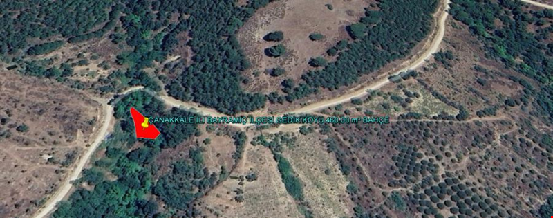 ÇANAkKALE İLİ BAYRAMİÇ İLÇESİ GEDİK KÖYÜ 460,00 m² BAHÇE