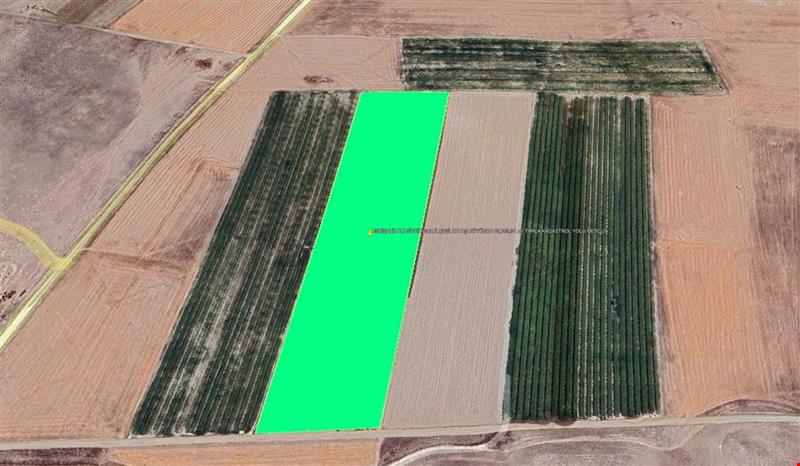 ESKİŞEHİR İLİ SİVRİHİSAR İLÇESİ AKTAŞ KÖYÜNDE 42.755,31 m² TARLA KADASTROL YOLU MEVCUT