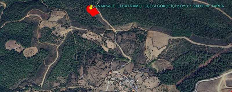 ÇANAKKALE İLİ BAYRAMİÇ İLÇESİ GÖKÇEİÇİ KÖYÜ 7.300,00 m² TARLA