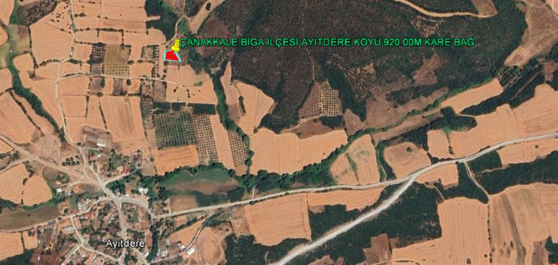 ÇANAKKALE PROVINCE BİGA DISTRICT AYITDERE VILLAGE 920,00 SQUARE METER VINEYARD