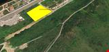 YALOVA  İLİ ÇİFTLİKKÖY İLÇESİ KILIÇ KÖYÜNDE KOCAELİ ASFALTINA CEPHE 8.877,12 M KARE TARLA