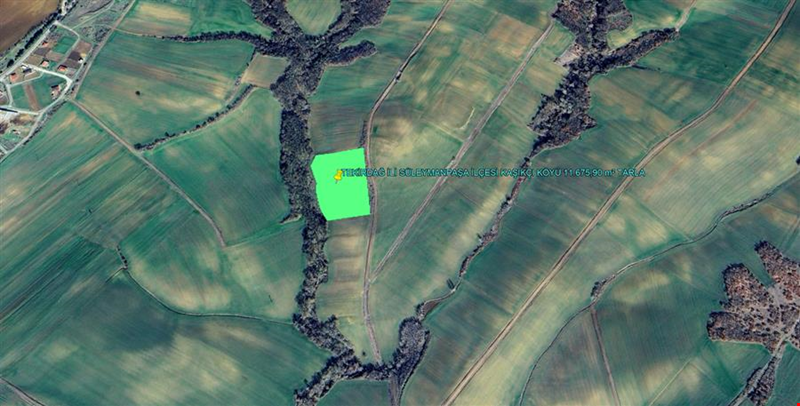 TEKIRDA PROVINCE SÜLEYMANPAŞA COUNTY KAŞIKÇI VILLAGE 11.675,90 m² LAND