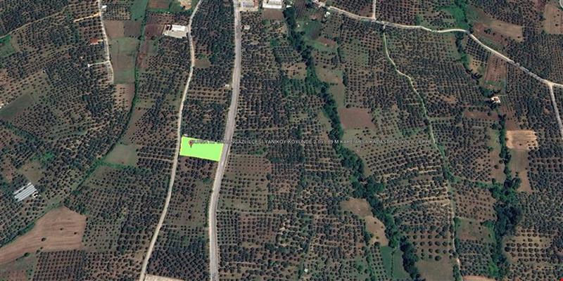 BURSA İLİ ORHANGAZİ İLÇESİ YENİKÖY KÖYÜNDE 2.091,89 M KARE TARLA KADASTROL YOLA CEPHE