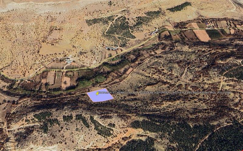 KARAMAN İLİ MERKEZ İLÇESİ YEŞİLDERE KÖYÜNDE 11.843,18 M KARE BAĞ KADASTROL YOLU VAR