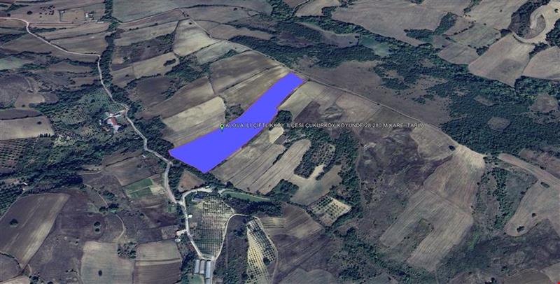 YALOVA İLİ ÇİFTLİKKÖY İLÇESİ ÇUKURKÖY KÖYÜNDE 28.280 M KARE  TARLA