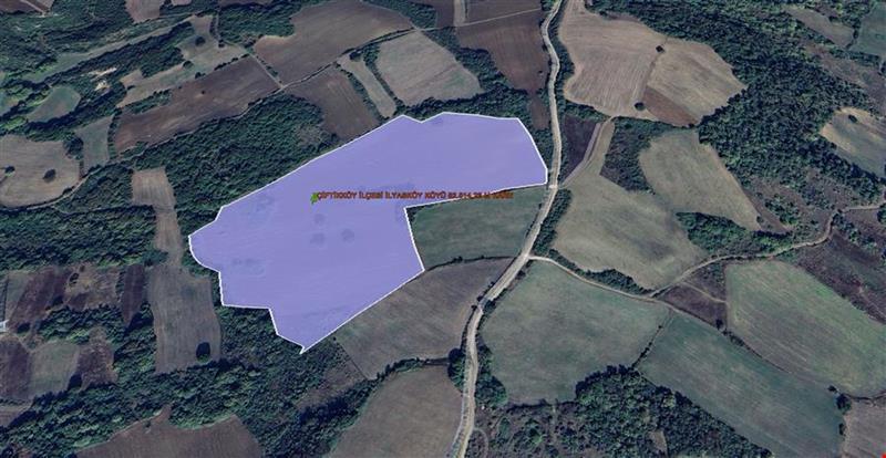 YALOVA İLİ ÇİFTLİKKÖY İLÇESİ İLYASKÖY KÖYÜ  82.514,28 M KARE TARLA KADASTROL YOLA CEPHE