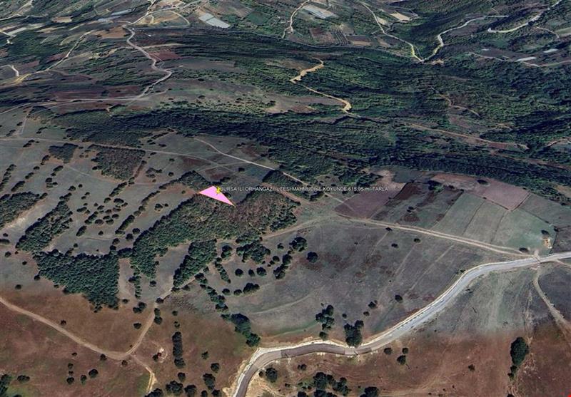BURSA İLİ ORHANGAZİ İLÇESİ  MAHMUDİYE KÖYÜNDE 615,95 m² TARLA