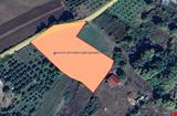 5.720 SQUARE METER GARDEN IN ÇUKURKÖY VILLAGE OF ÇİFTLİKKÖY DISTRICT OF YALOVA PROVINCE