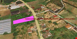 YALOVA İLİ ALTINOVA İLÇESİ AYAZMA KÖYÜNDE 1.830,35  m²  KÖY EVİ VE 37 MEYVE AĞACI OLAN TARLA