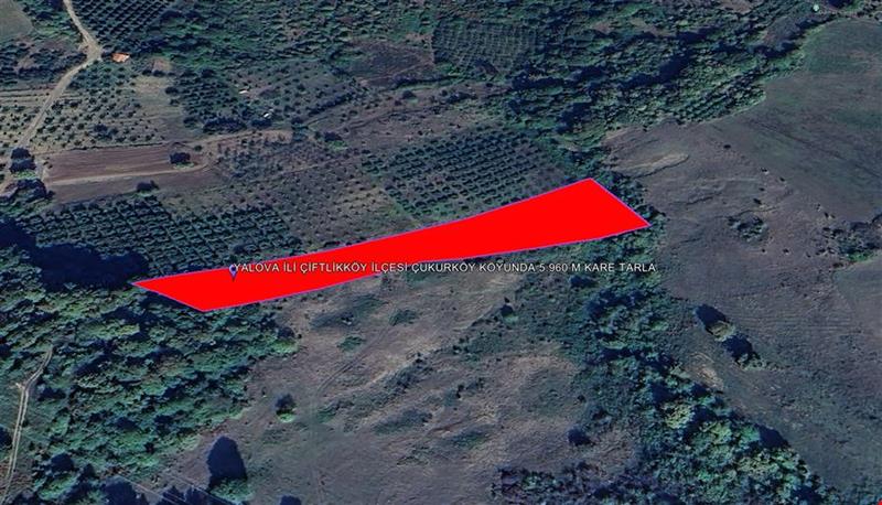 5.960 SQUARE METER FIELD IN ÇUKURKÖY VILLAGE OF ÇİFTLİKKÖY DISTRICT OF YALOVA PROVINCE